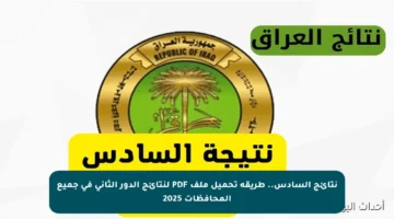نتائج السادس.. طريقة تحميل ملف PDF لنتائج الدور الثاني في جميع المحافظات 2025